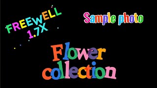 #3 Freewell 1.7x  flower collection 