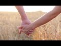 Couple Taking Hands On Field Over Sunset | Stock Footage