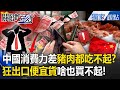中國經濟困境與台灣的反思