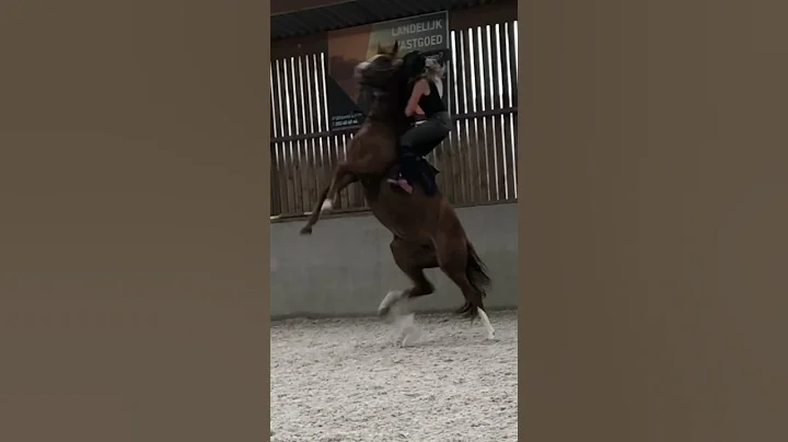 😭#fall #horses #problems #shesokay #equestrian #worst #worstmoments #fyp #shorts #blowup #crying