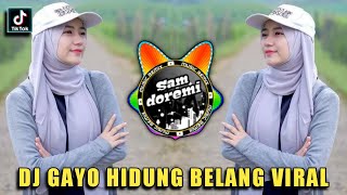 DJ GAYO HIDUNG BELANG VIRAL TIK TOK REMIX FULL BASS