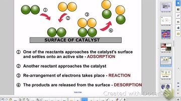Metabolic Pathways and Enzymes (AP Ch 6)