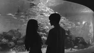 Make them dream of u [extreme obsession].