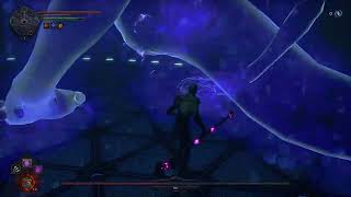 Hellpoint DLC - Fear, no hit/dmg  (PS5)
