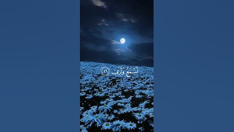 قال لا تخافا انني معكما اسمع وارى||تلاوة هادئة❤️😴 راحة_نفسية 💙