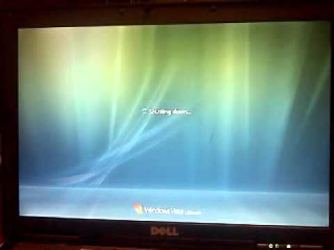 Vista Monitor Shuts Off