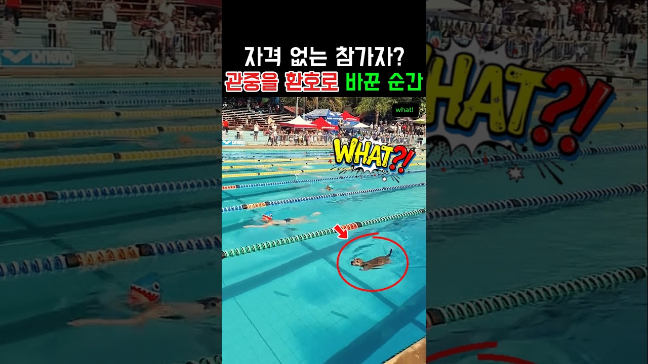 자격 없는 참가자? 관중을 환호로 바꾼 순간 #동물 #강아지 #감동 #반전