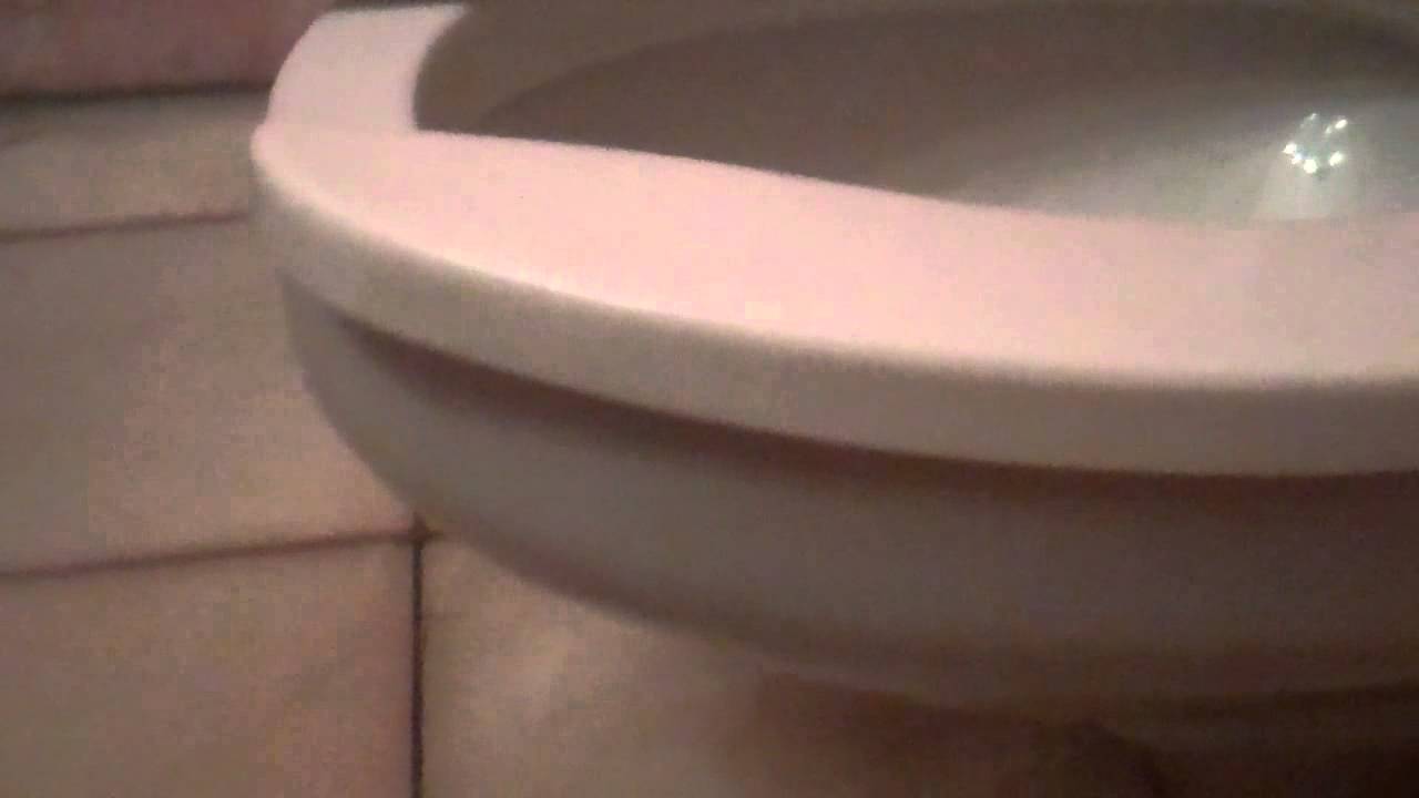 4669: 1969-1983 American Standard Afwall Toilet 83 - YouTube