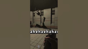 The Funniest Ragdoll!