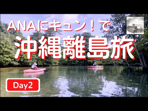 【旅vlog】お得に沖縄離島旅 2日目/ピナイサーラの滝までカヌー＆トレッキング/全種類は食べきれないディナービュッフェ　2022/04/18