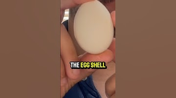 The secret shield against bacteria in eggs
