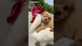 VID 20210810 WA0078
