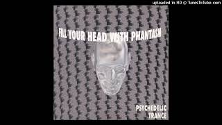 04 Mindfield - Sphynx