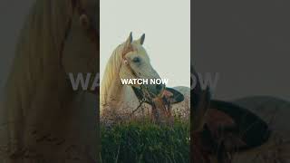 Poison The Well - Thoroughbreds