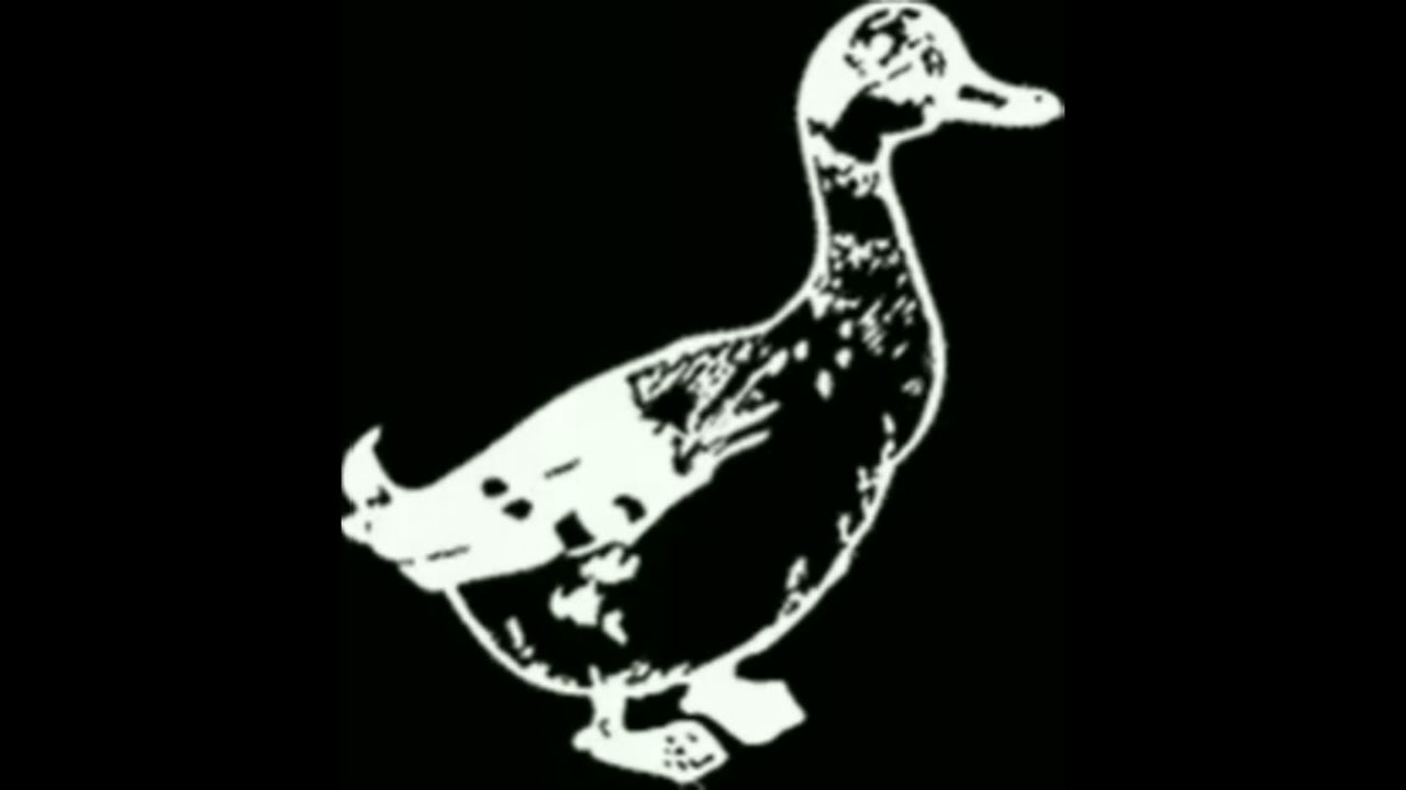 AKA NINA @ Hammahalle Sisyphos, Berlin