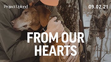 Upland Hunting with a Vizsla - From Our Hearts - A Project Upland Original FIlm