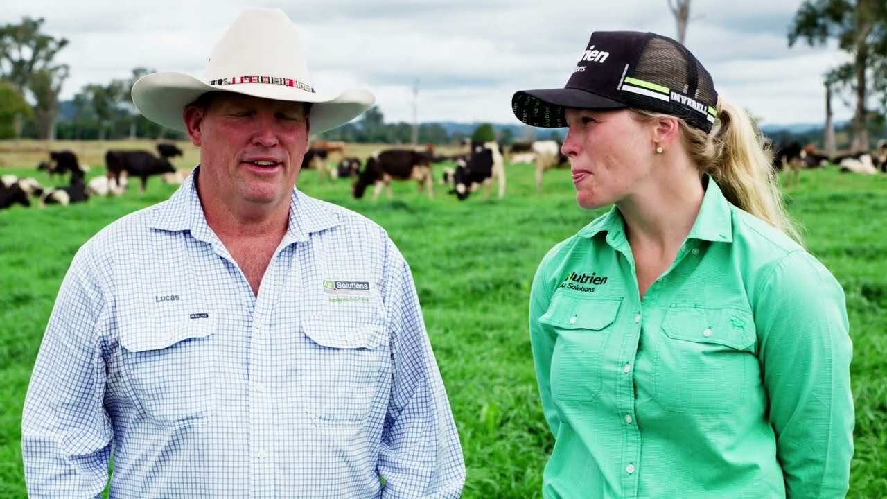 Managing Livestock Grazing Cereals & Lush Pastures