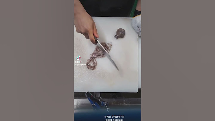 만원짜리 산낚지 탕탕이