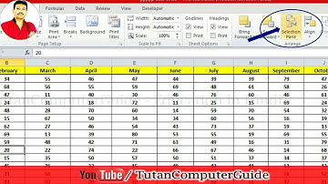 Excel Computer Basic Course || How to use Selection Pane in Microsoft Excel | Learn Excel