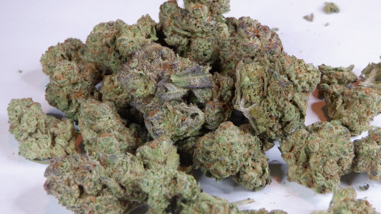 Strain Review Mandarin Cookies By Back Forty