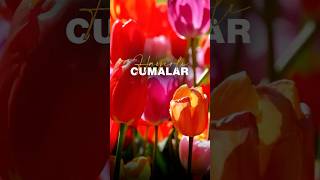 Âmine hâtun Muhammed ânesi, Ol sadeften doğdu ol dür dânesi...
