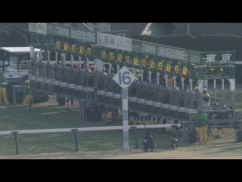 2021 February Stakes (G1) - YouTube