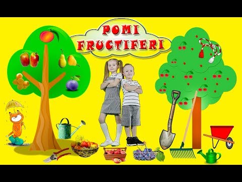 Video: Pomii Fructiferi Din țară