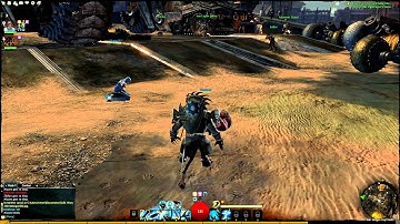 GW2: Funny Bug