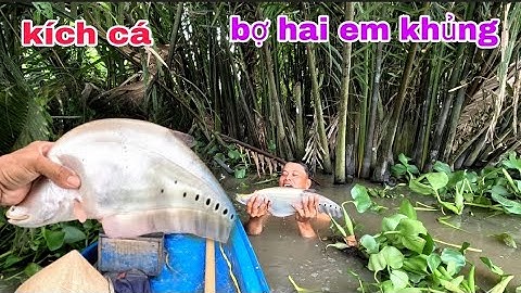 lâu rồi anh em mới bợ hai em cá thác lác cườm khủng,, kênh Htgc tập 76,