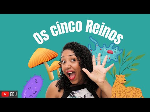 Vídeo: Quais são as diferenças entre os 5 reinos?