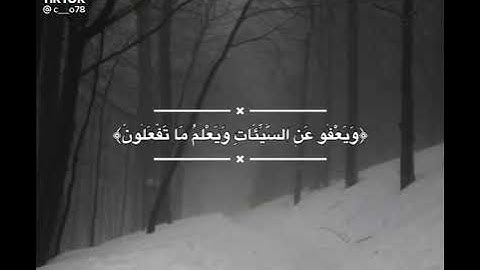 وهو الذي يقبل التوبة عن عباده القارئ ياسر الدوسري