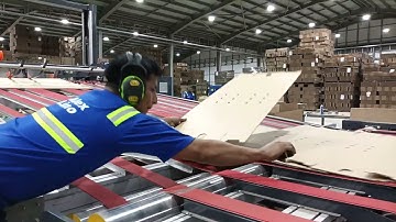 Bottom Printer+Vibrator+Counter Stacker