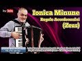 Ionica Minune 2019 - Regele Acordeonului - Live Nunta Buzau (Videoclip Full HD)