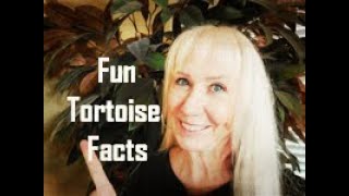 Basic Desert Tortoise Facts
