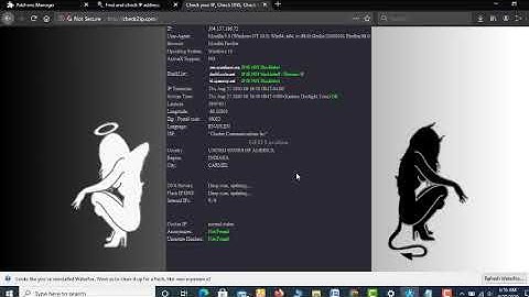 How to set-up Socks5 proxy in Mozilla Firefox or waterfox