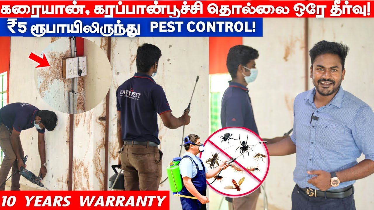 வீட்டில் கரையான் அரிப்பா😱? எலி தொல்லையா? இனி கவலை வேண்டாம்! pest