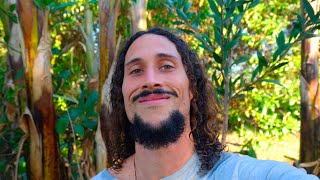 Cambios Internos para una nueva Percepción - Abundancia de la Tierra