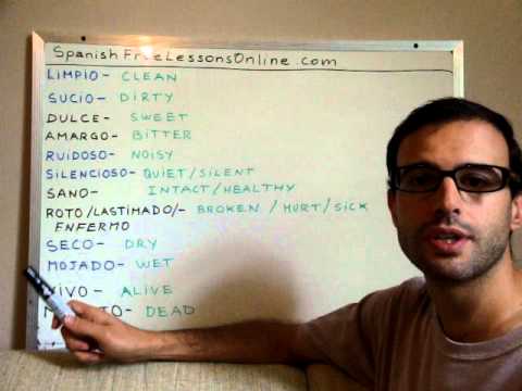 Free Spanish Lessons 48 - More sets of opposites (adjectives)
