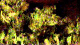 1080p Joint