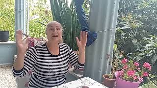 Torunlarim Ve Çocuklarimi En Hasas Noktamdi̇l Uzatanin Di̇li̇ Kopsun