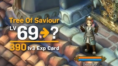 [TOS]Tree Of Savior Steam[Sea] Server. EXP CARD MADNESS!!!