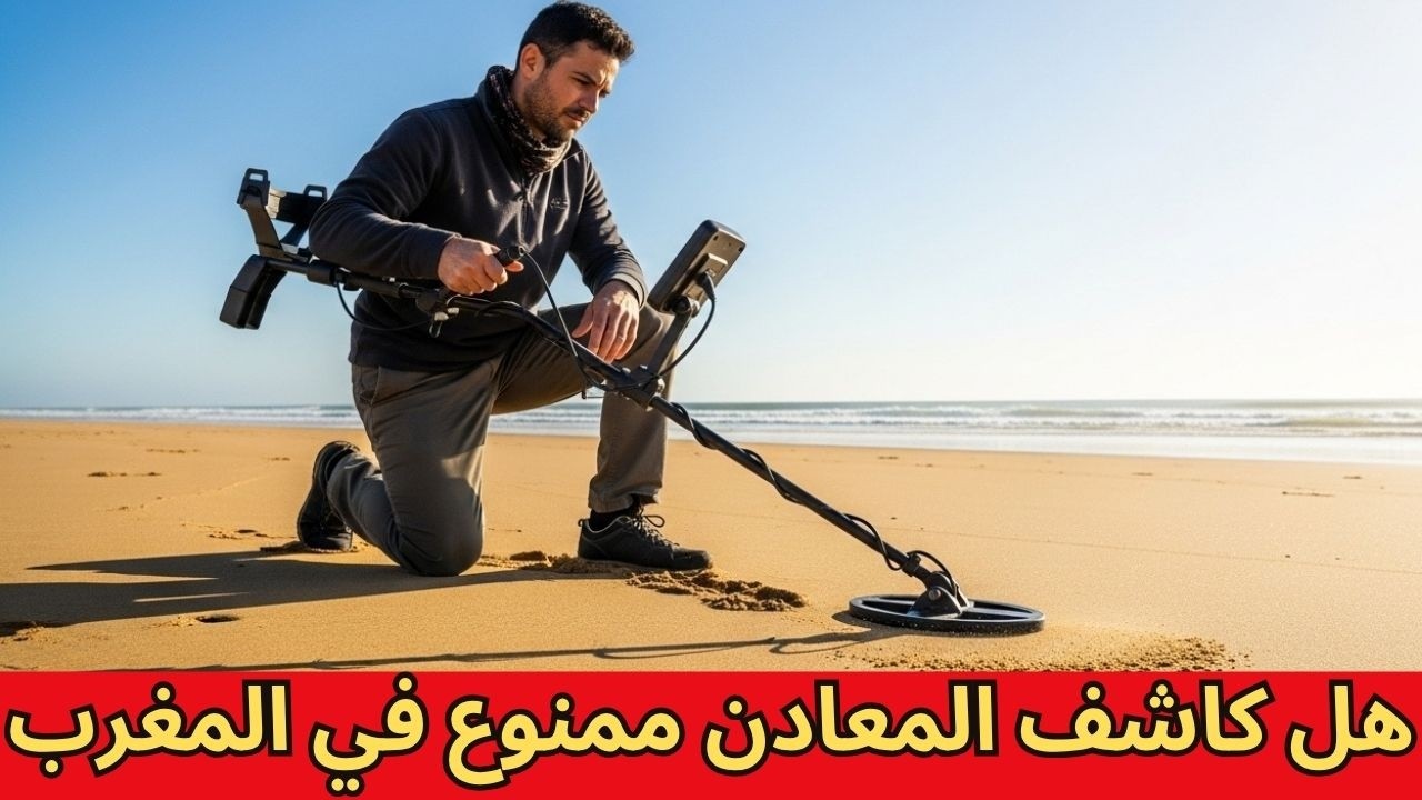 هل كاشف المعادن ممنوع في المغرب وكيفية استخدامه في البحر والغابة