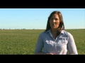 Msf young farmers  cropping