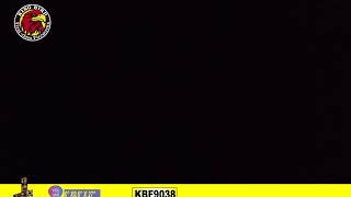 KBF9038 金柳变菊花