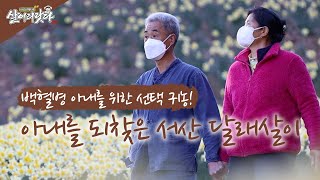 (살어리랏다3) 백혈병을 달래와 함께 이겨낸 서산 달래부부 이야기!! 감동이~감동이~ ㅠㅜ ktv, koreatv, wild garlic (충남 서산)