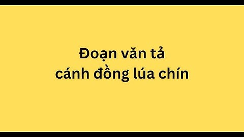 Đoạn văn tả cánh đồng lúa chín
