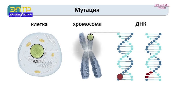 Орыс порно мультфильмдер Мақсатқа дейін стриптиз көрсетті