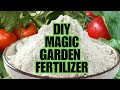 Magic fertilizer for all vegetables  100 success results