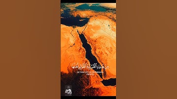 قرآن كريم#coran#قرآن#المنشاوي #تيك_توك#اكسبلور#لايك قرآن