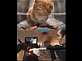 Mr fresh Vs Titan tv man Injured #skibiditoilet #cat